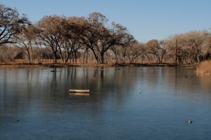 *ain't life Rio Grande*