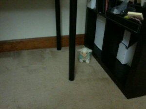 * here there be sheep *