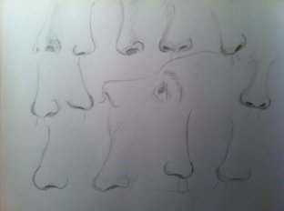 nose_study_by_yellowquiet-d5mgoca