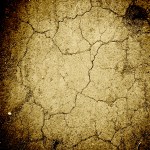 3375190476_26b1cbc344_b